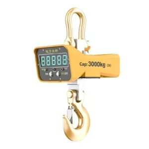 Crane scale with hook for load weighing